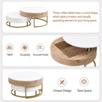 Modern Round Lift-Top Nesting Coffee Tables with 2 Drawers, Hydraulic Mechanism, MDF, White & Black